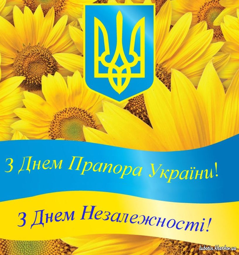 DP_ta_DN.jpg